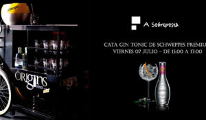 Cata Gin Tonic Schweppes Premium